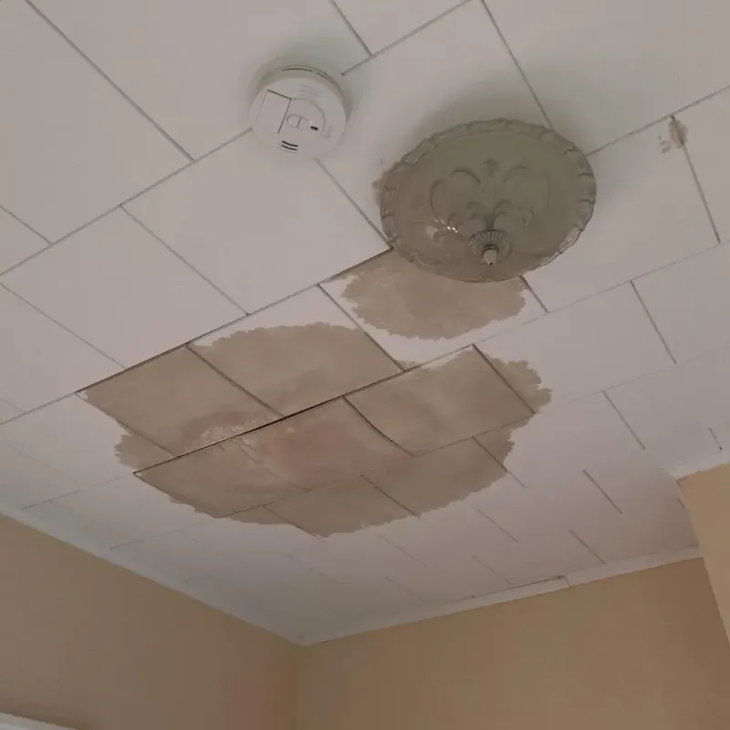 Ceiling Water Damage Repair in South Waverly, PA