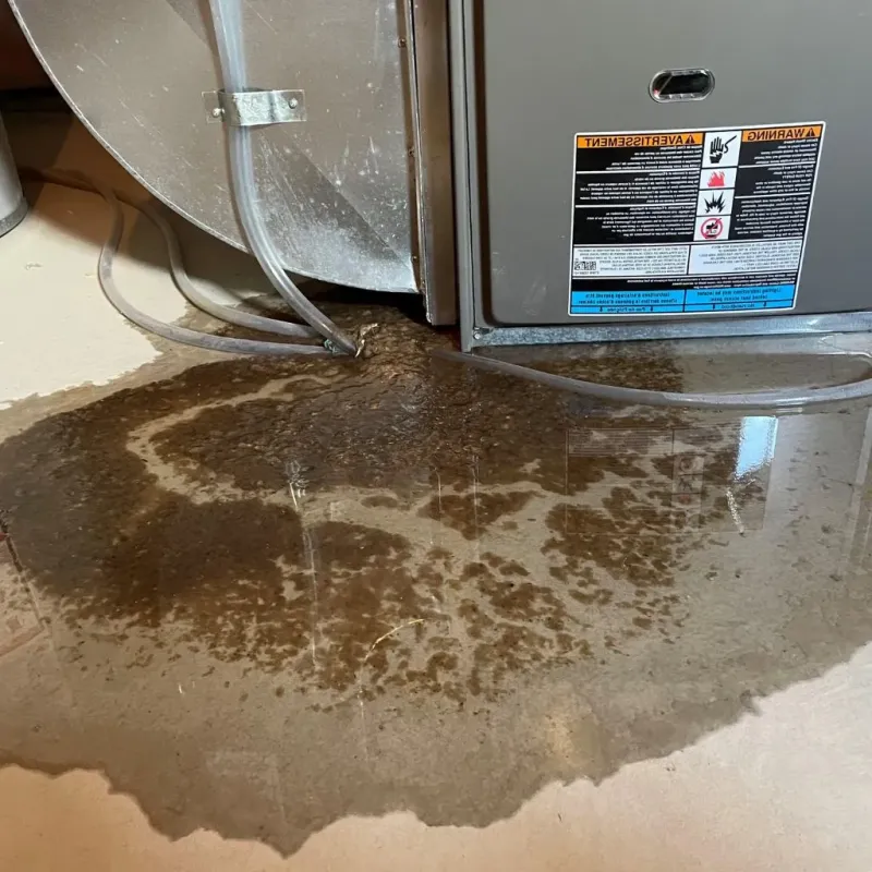 Pipe Burst and Leak Restoration in South Waverly, PA